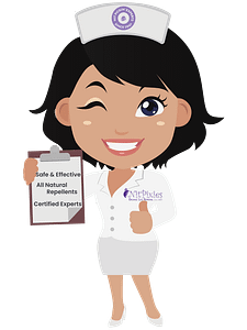 head lice removal professionals