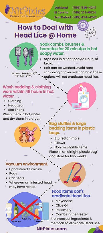 head-lice-flipbook1opt How to Deal with Head Lice at Home Guide Page 1