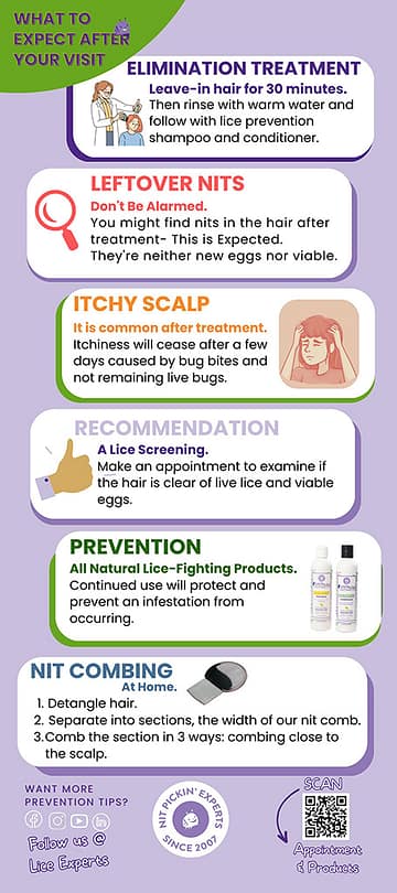 head-lice-flipbook2opt head-lice-flipbook2opt